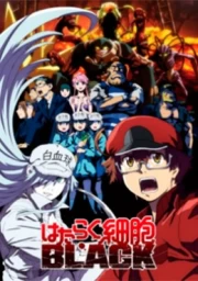 Hataraku Saibou Black (TV)