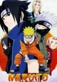 Naruto Ovas