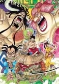 One Piece - Wano Especial