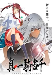 Shin Ikkitousen